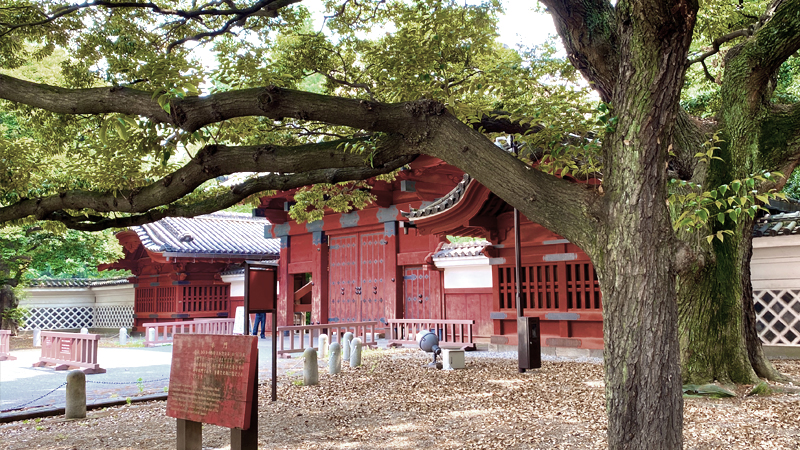 書生 の意味とは 服装や 学生 との違い 時代での言葉の変化について解説 マルノート