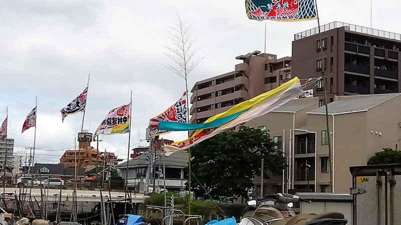 船橋市川沿い。大漁旗が立っている